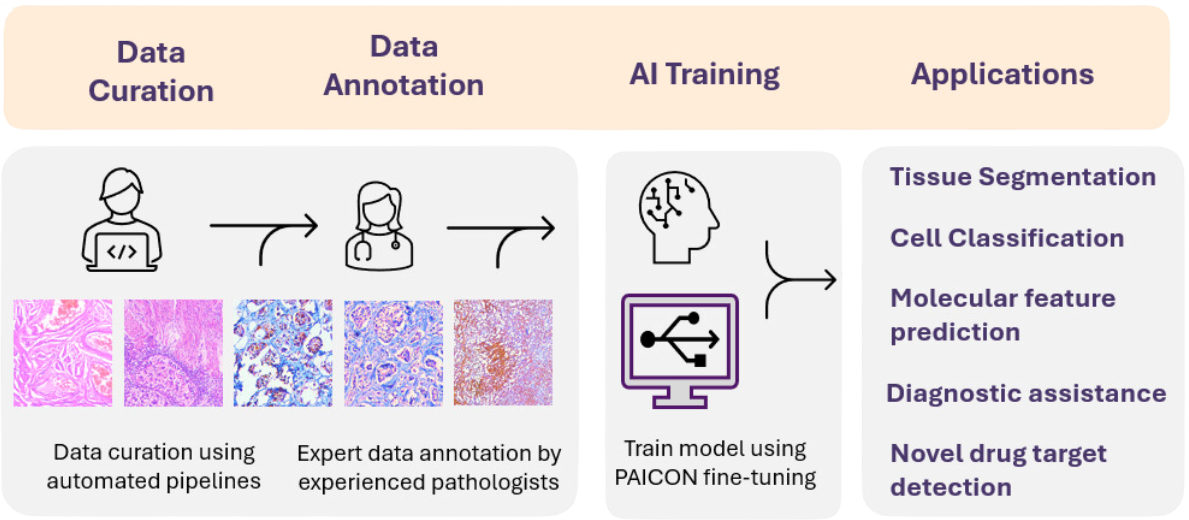 Figure 3: Workflow of PAICON’s foundational model