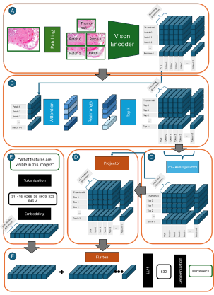 PAiChat Architecture