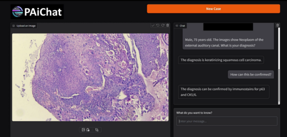 PAiChat UI Screenshot