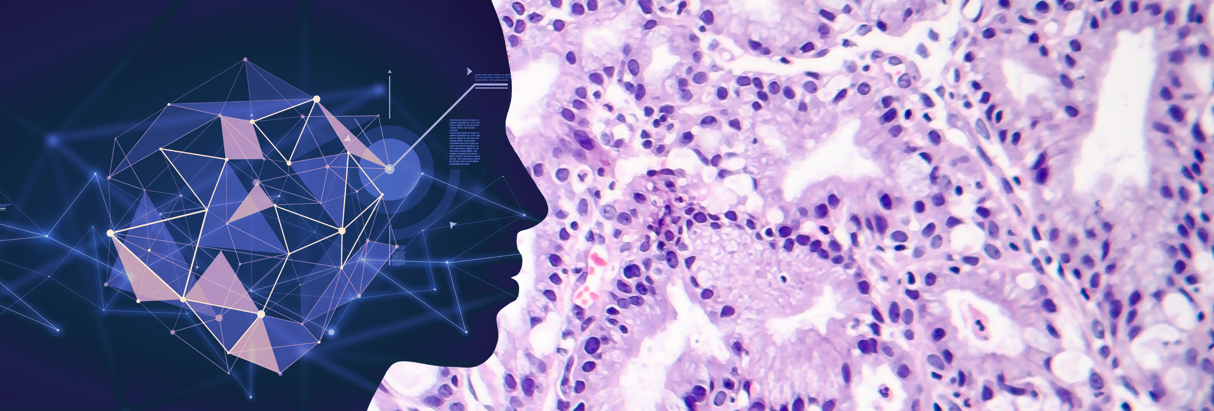Can AI Learn the Dialect of Histology?