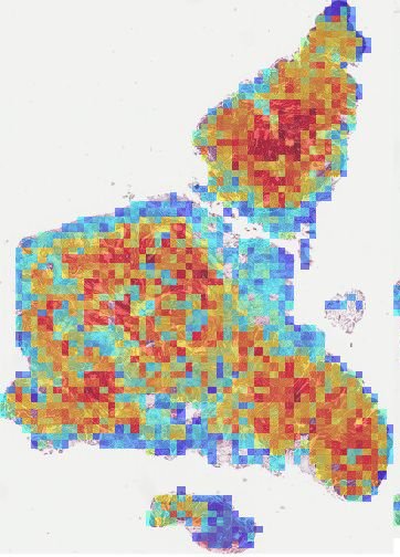 Attention heatmap overlay